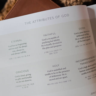 Seeing God When He Is Silent Study