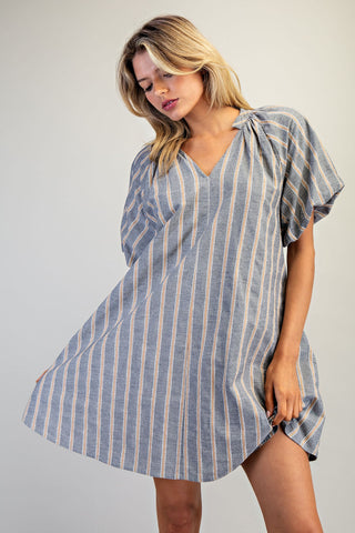 Willow Stripe Mini Dress