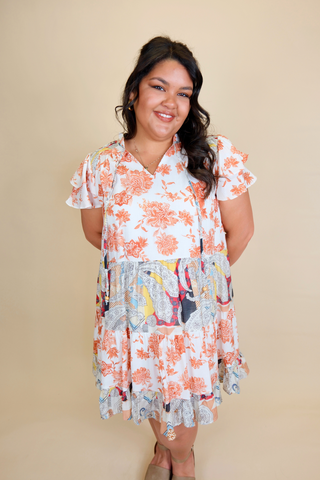 Heartland Print Mini Dress