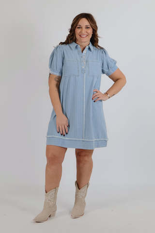 Denim Stripe Polo Mini Dress