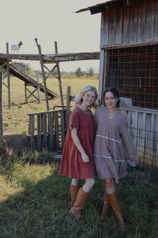 Clay Canyon Pleated Dress