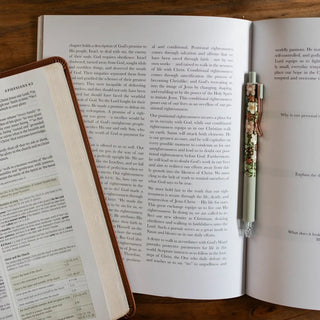 Stand Firm Bible Study