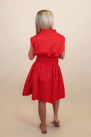 Independence Day Mini Dress