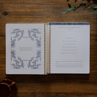 A Year in the Bible – Volume 2