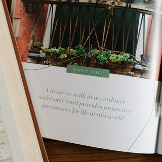 Stand Firm Bible Study