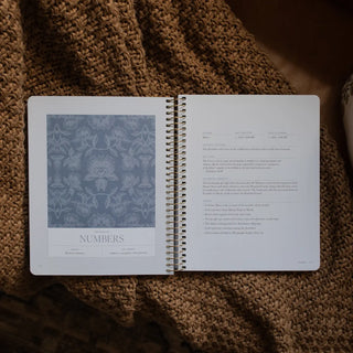 A Year in the Bible – Volume 1