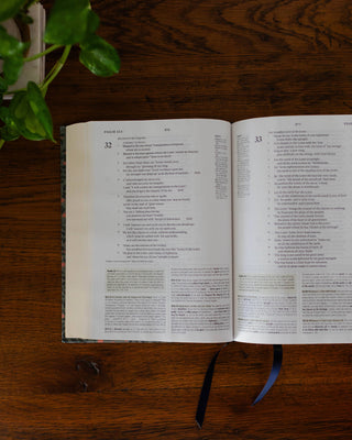 Abide Study Bible