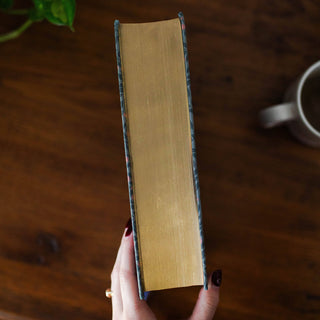 Abide Study Bible