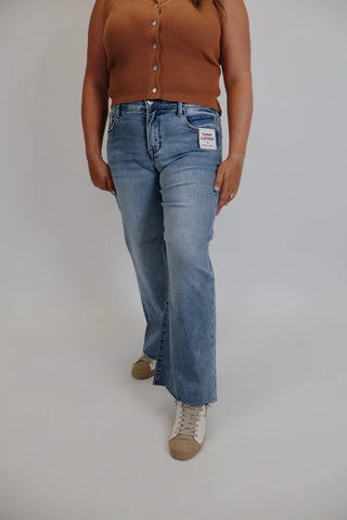 Tara Tummy Control Mid-Rise Jeans in Plus